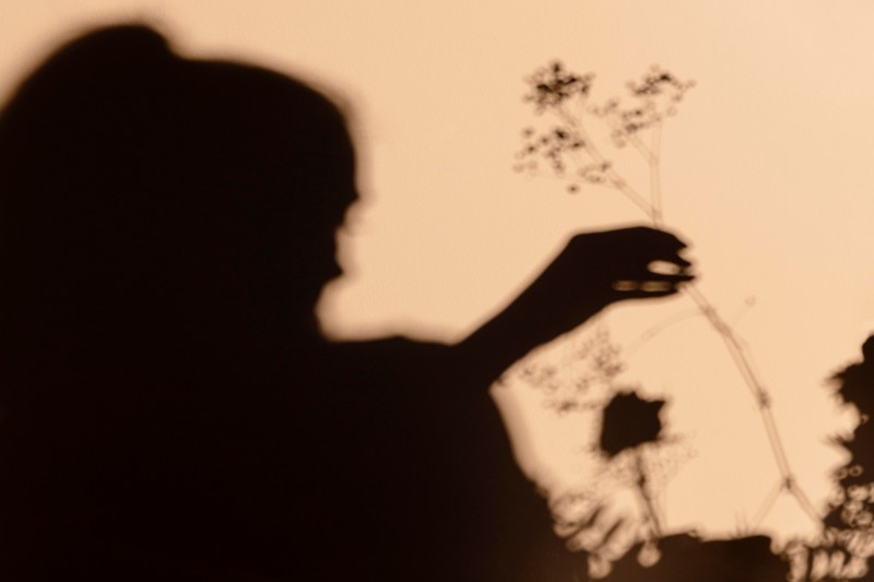 Shadow Healing India